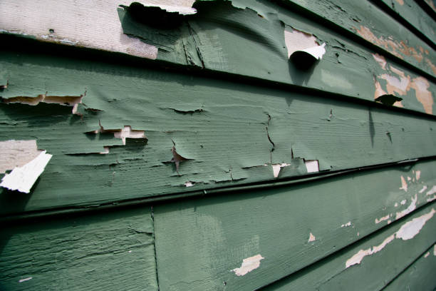 Professional Junk Removal in Columbia Falls, MT