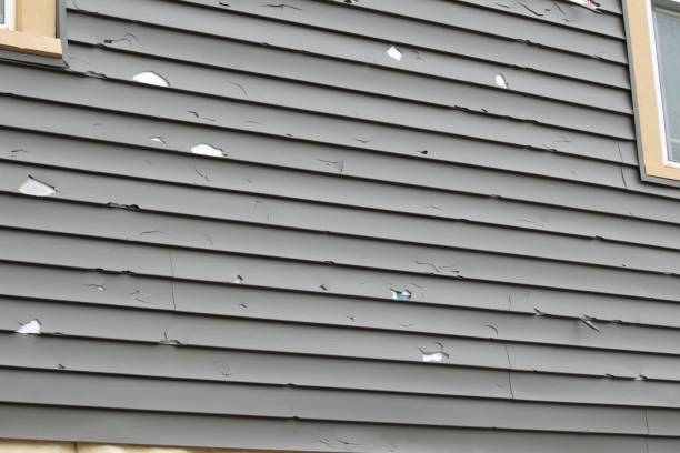 Best Property Management Cleanouts  in Columbia Falls, MT